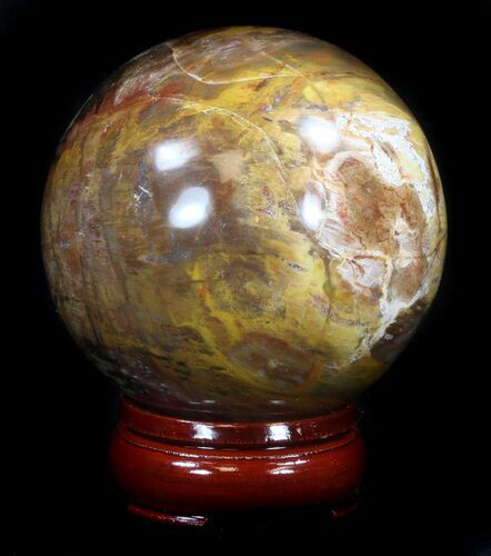 Colorful Petrified Wood Sphere #36969